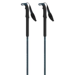 Atomic Bct Touring Sqs Poles Plateado 95-145 cm