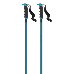 Atomic Redster X Poles Azul 125 cm